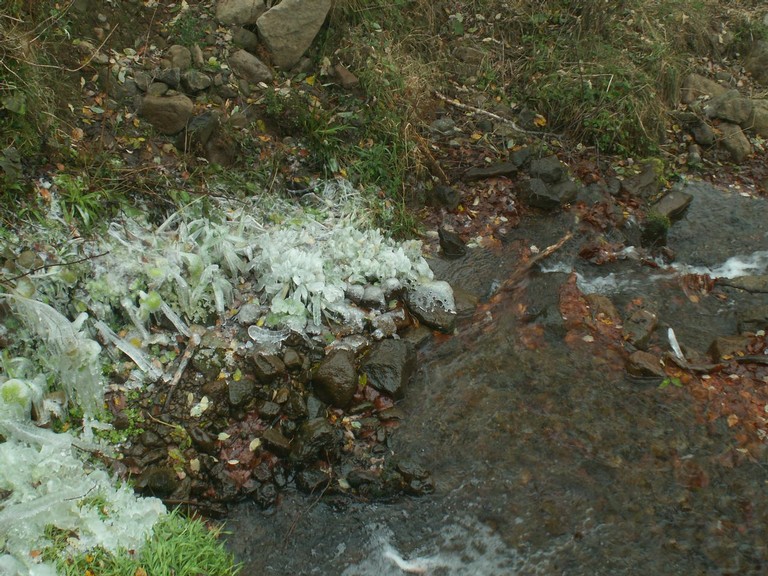 PICT0025.JPG