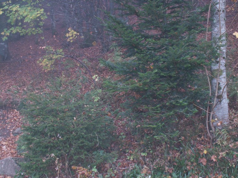PICT0026.JPG