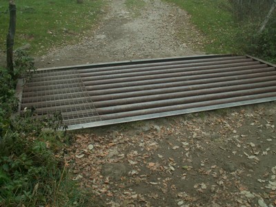 PICT0029.JPG