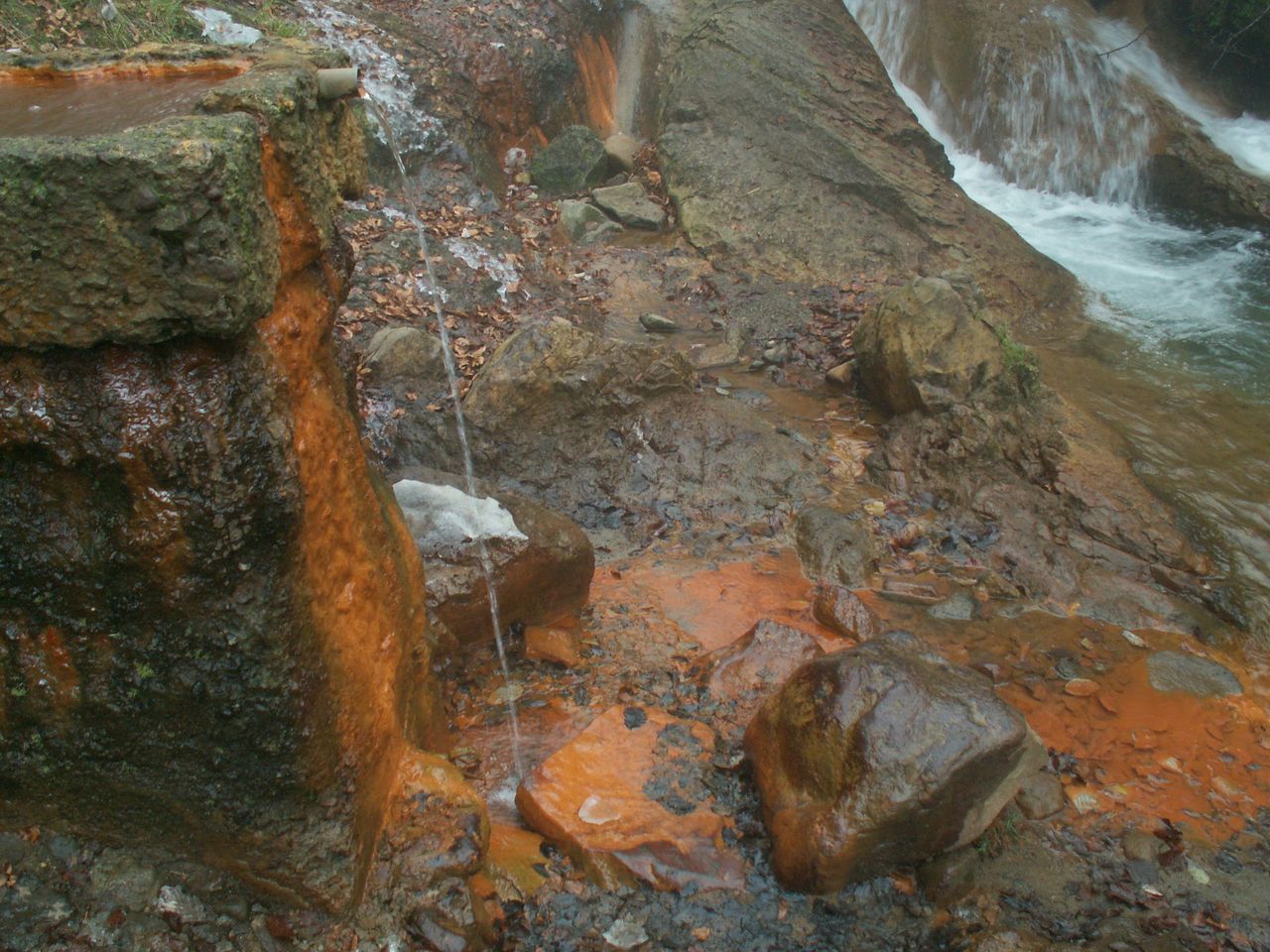 PICT0034.JPG