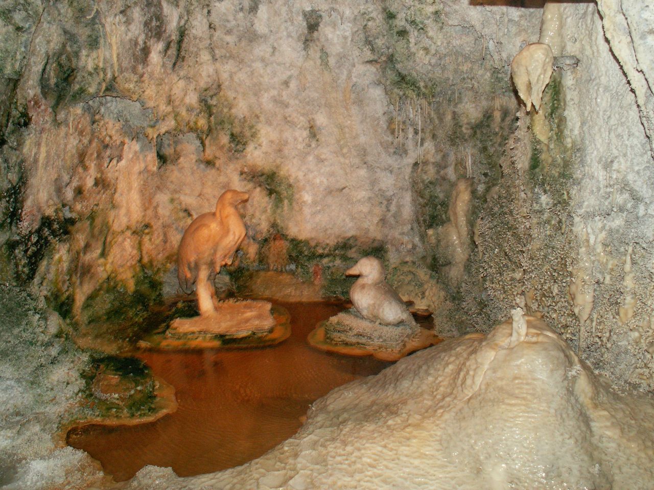 PICT0071.JPG