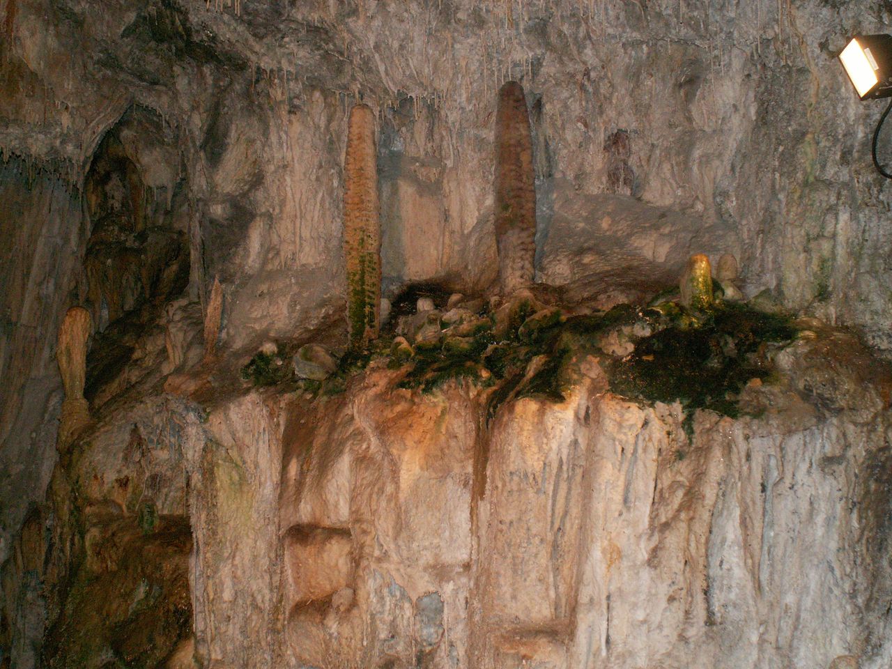 PICT0073.JPG