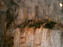 PICT0073.JPG