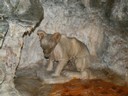 PICT0077.JPG