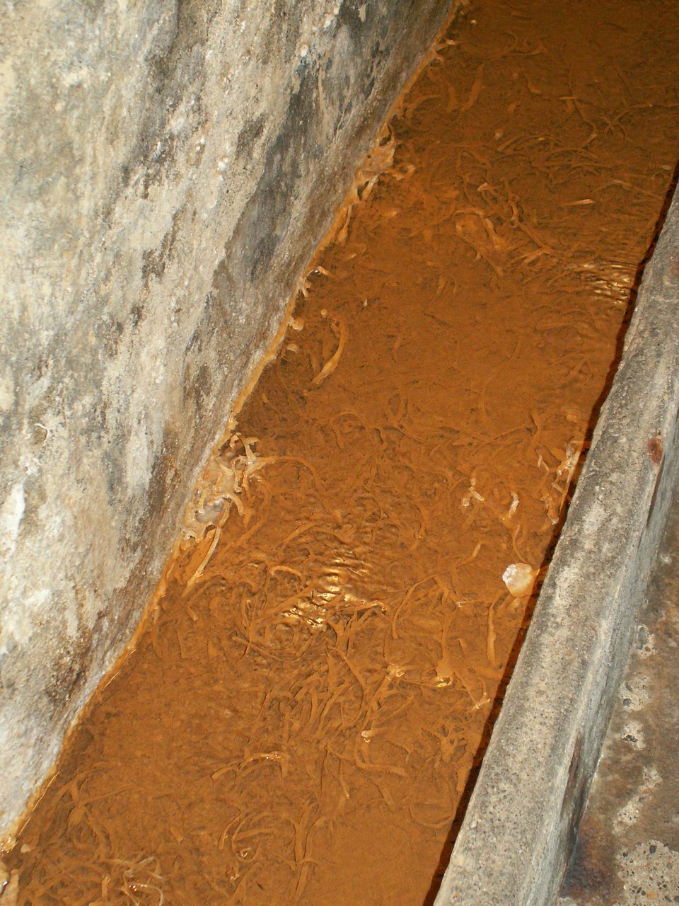PICT0078.JPG