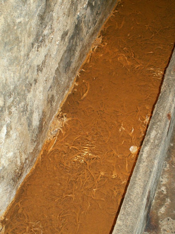 PICT0078.JPG