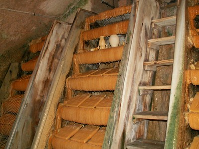 PICT0085.JPG