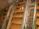 PICT0085.JPG