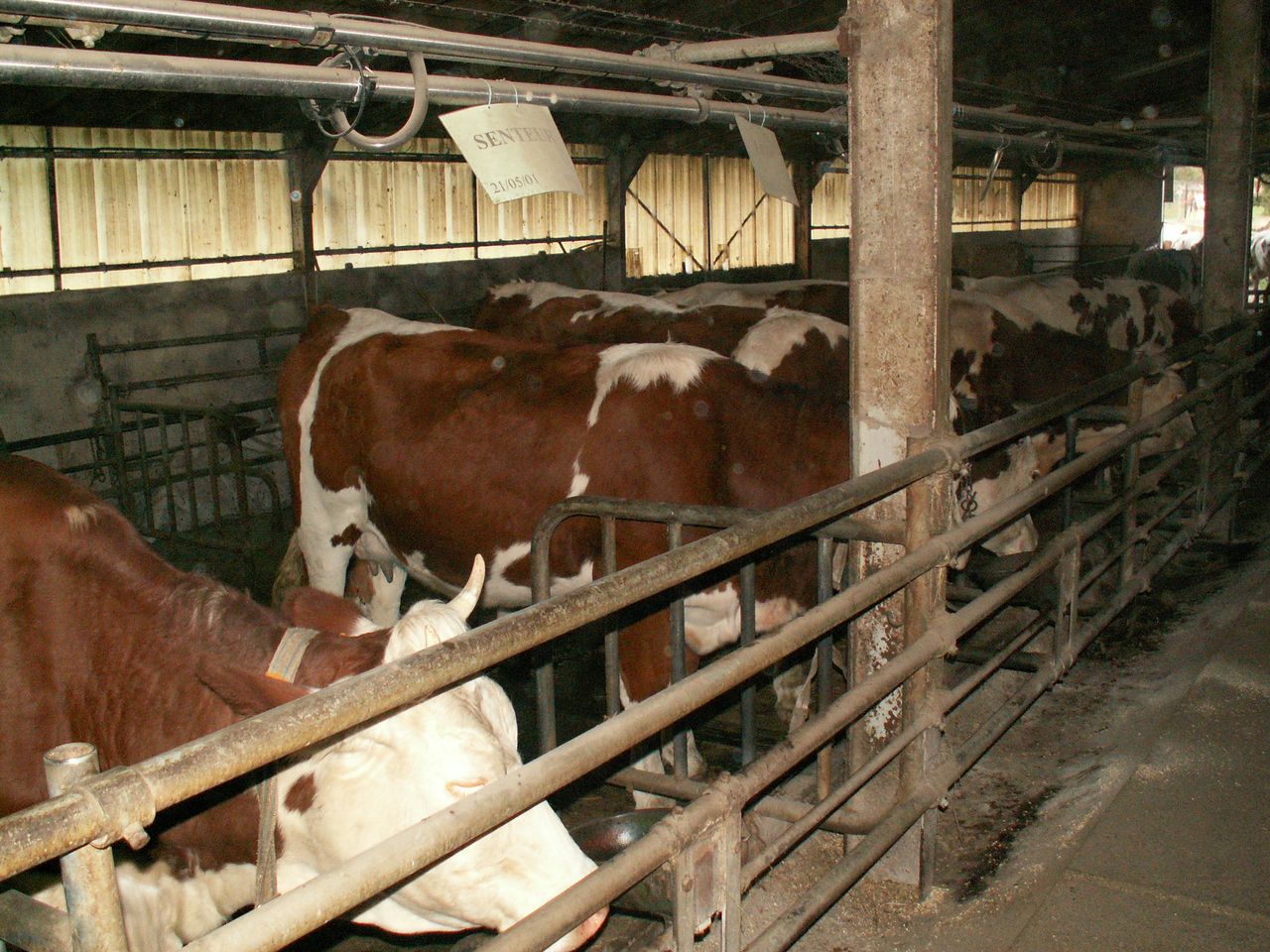 PICT0100.JPG