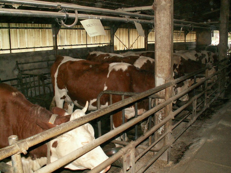 PICT0100.JPG