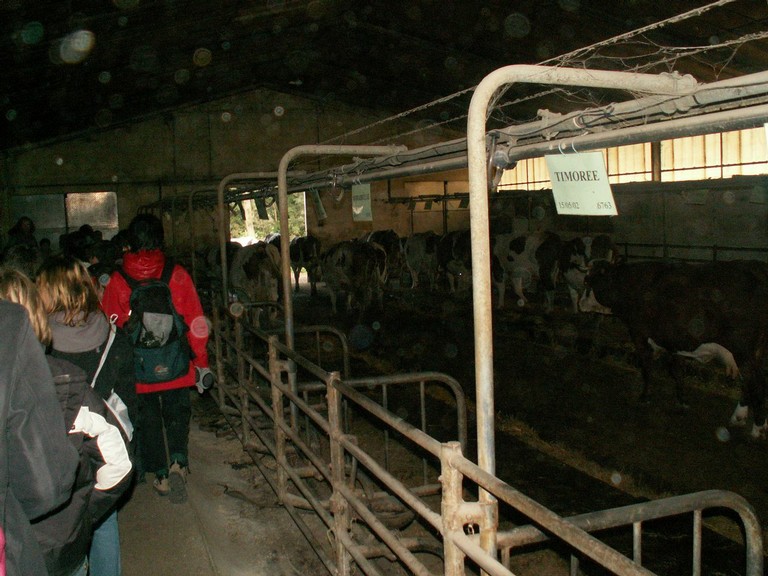PICT0101.JPG