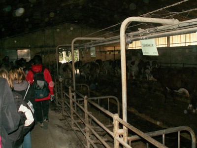 PICT0101.JPG