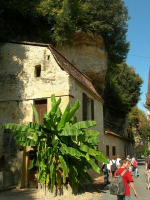 DSCN2502.JPG