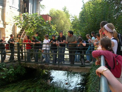 DSCN2505.JPG