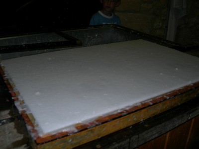 DSCN2510.JPG