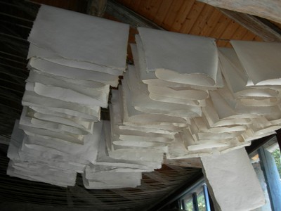 DSCN2518.JPG