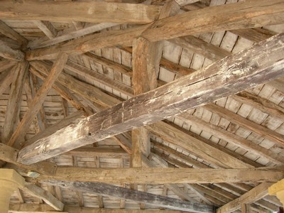 DSCN2521.JPG