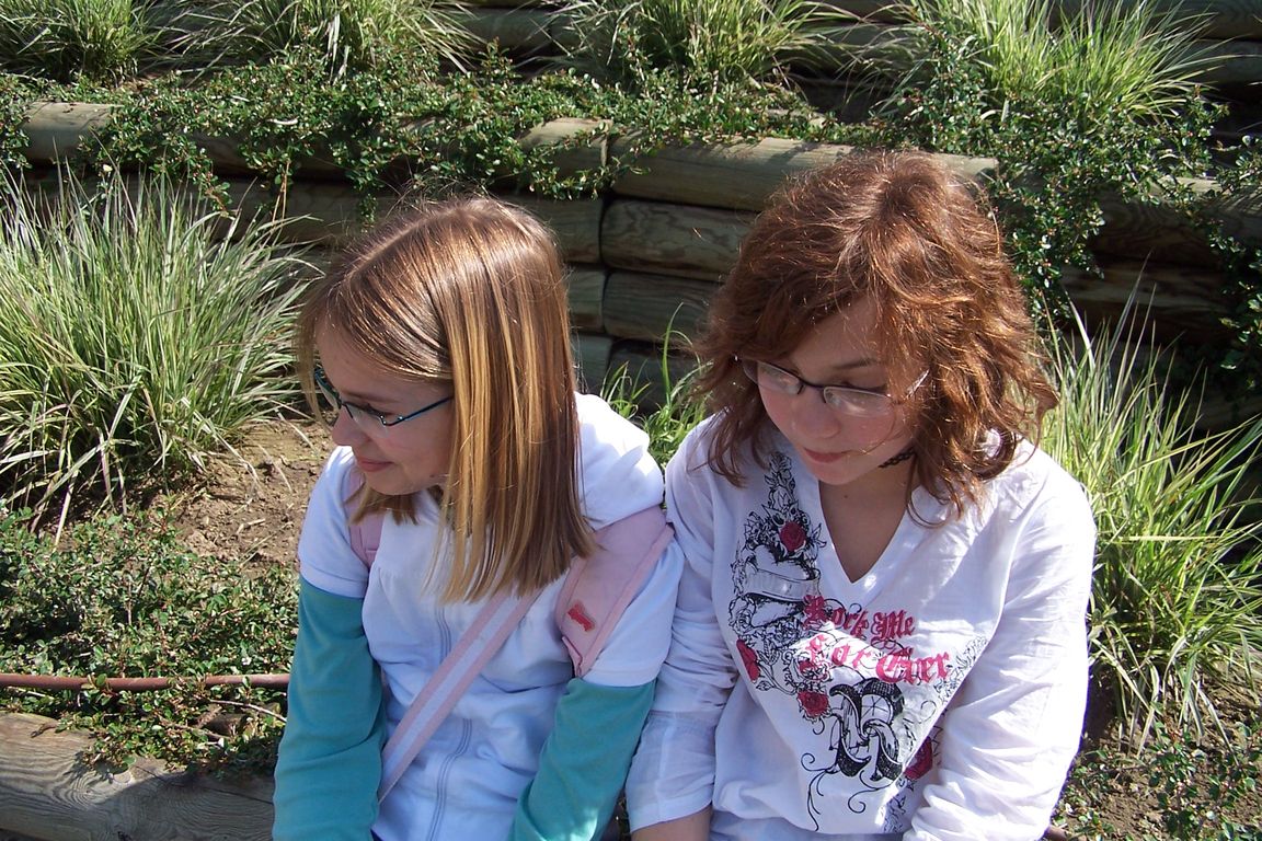 100_7340.JPG