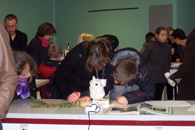 100_6833.JPG