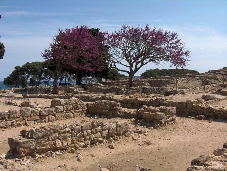 HPIM4025.JPG