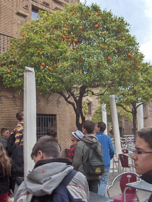 HPIM4114.JPG