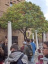 HPIM4114.JPG