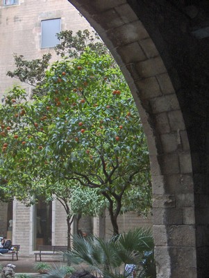HPIM4222.JPG