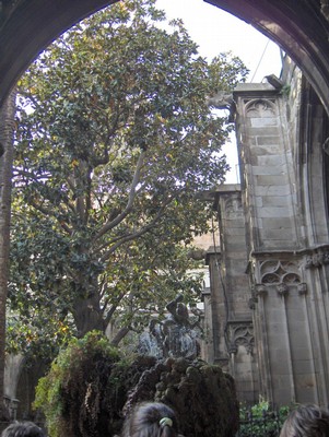 HPIM4227.JPG