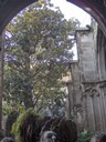 HPIM4227.JPG