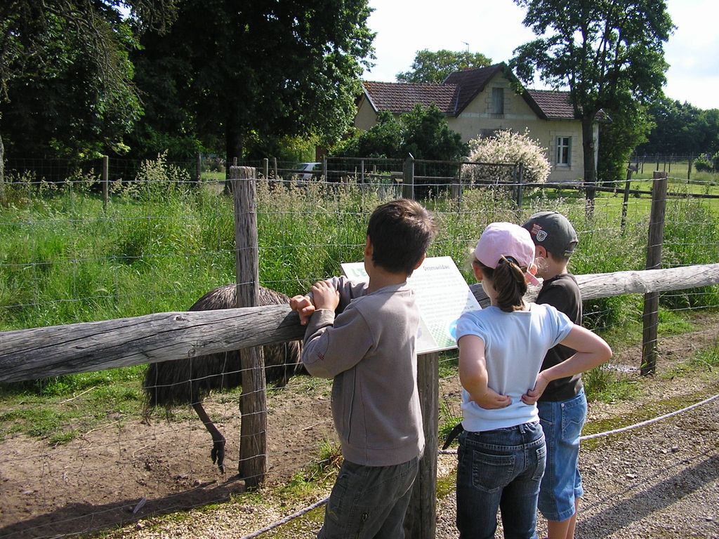 P1010091.JPG