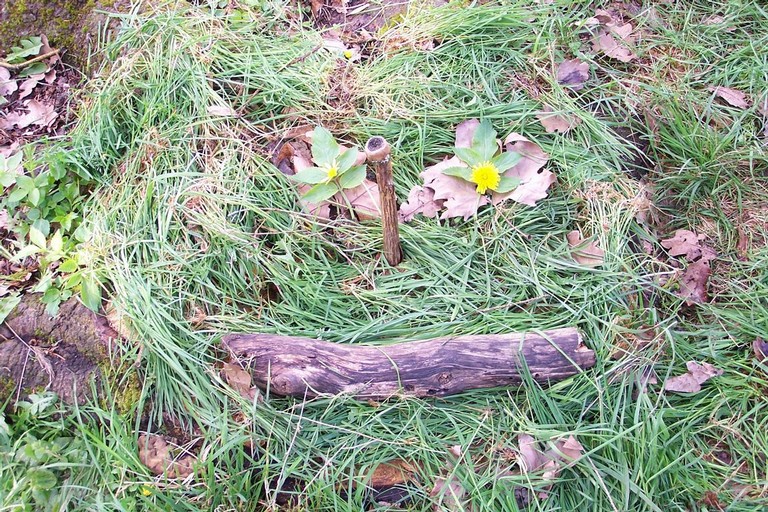 100_6904.JPG
