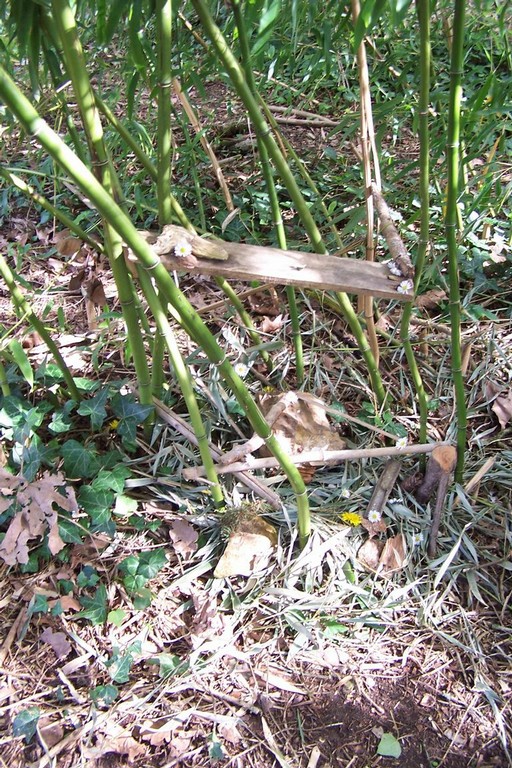 100_6913.JPG