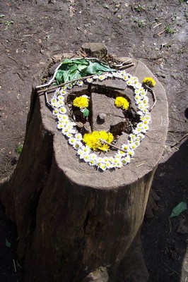 100_6917.JPG