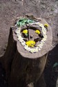 100_6917.JPG