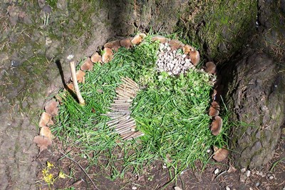 100_6919.JPG