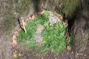 100_6919.JPG