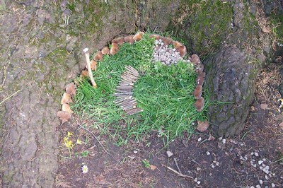 100_6920.JPG