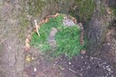 100_6920.JPG