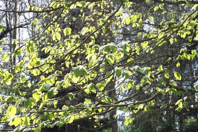 100_6930.JPG