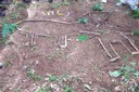100_6931.JPG