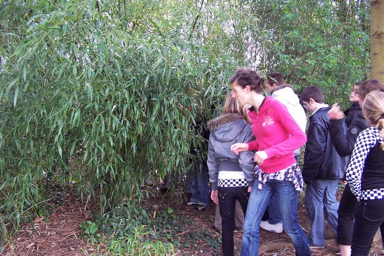 100_6932.JPG