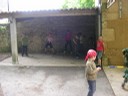 P6210091.JPG