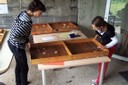 100_7755.JPG