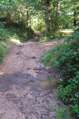 001 (192).jpg