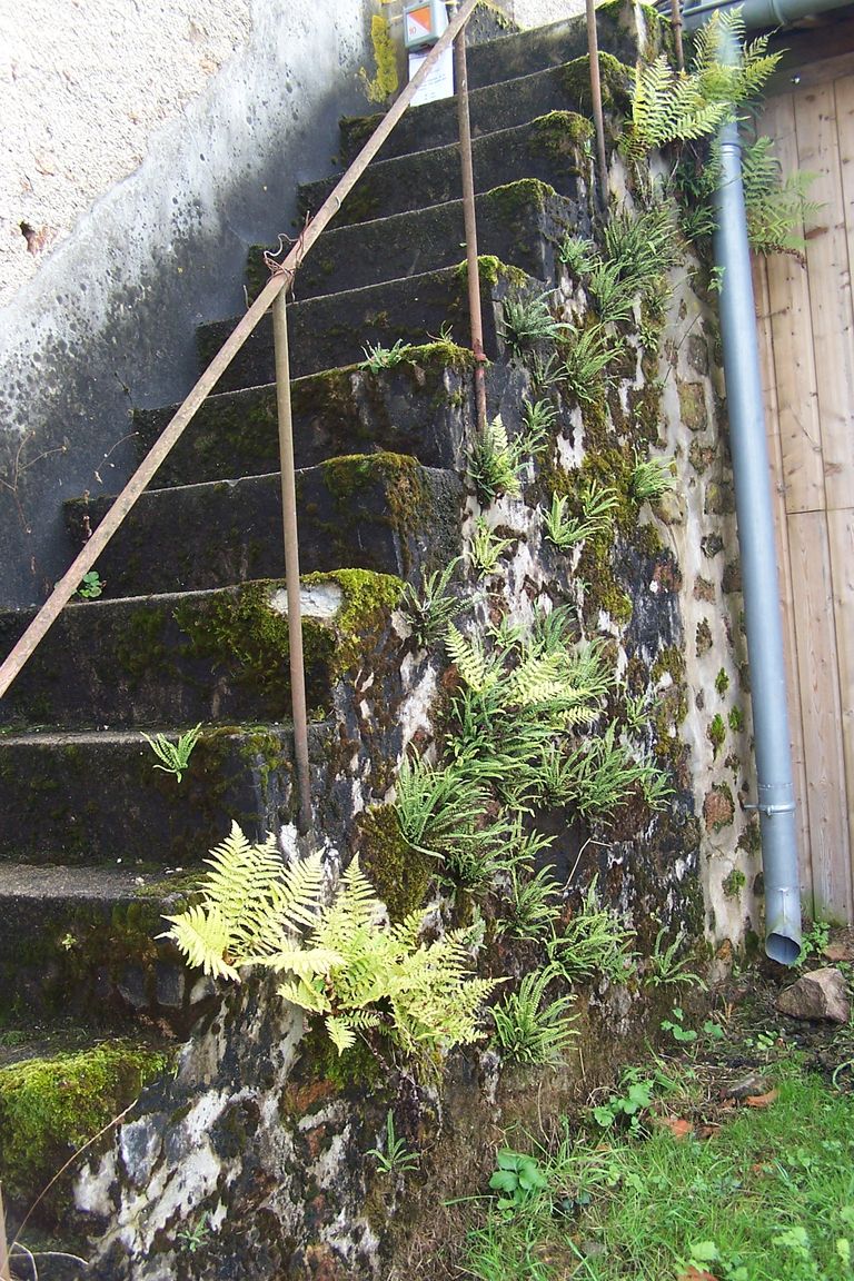 001 (194).jpg