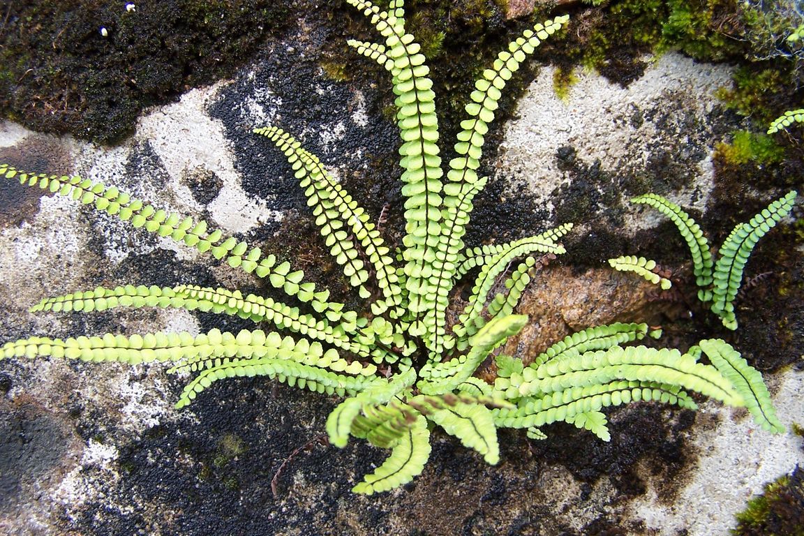 001 (195).jpg