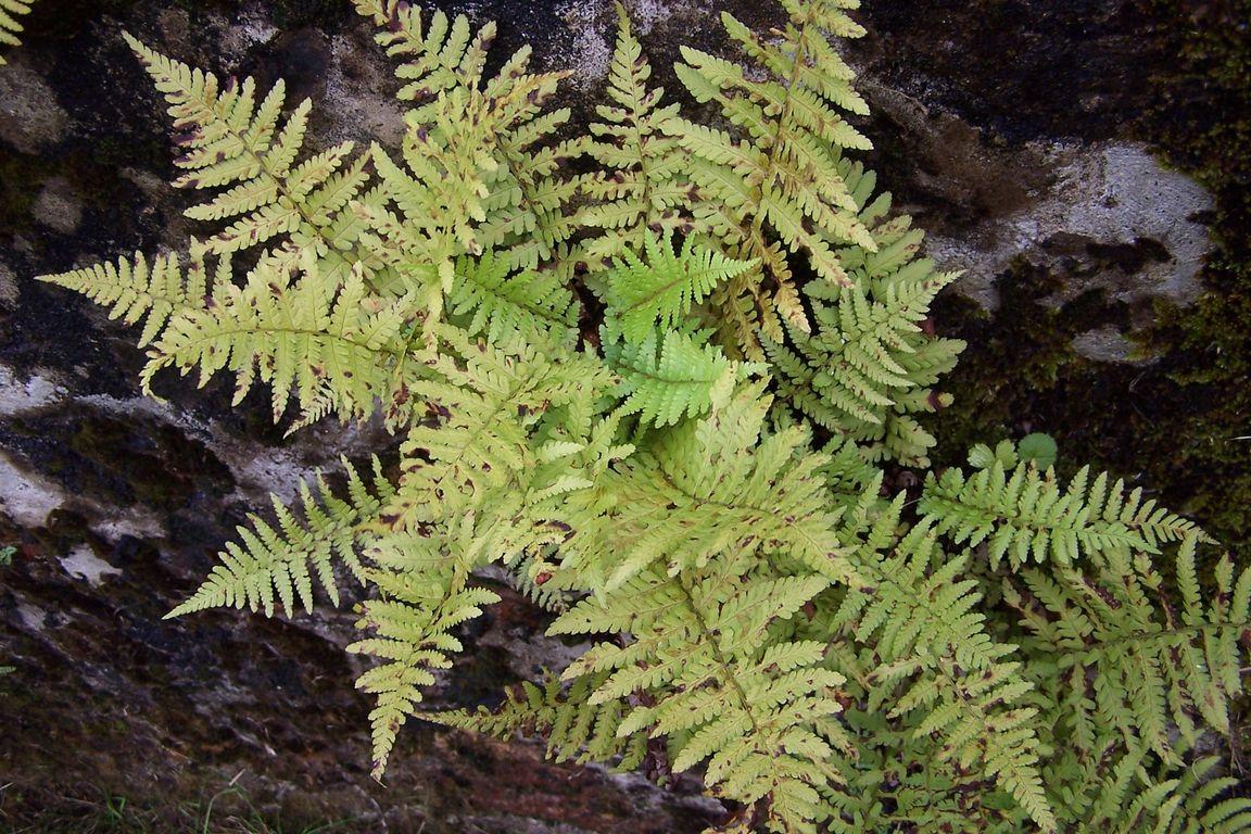 001 (196).jpg