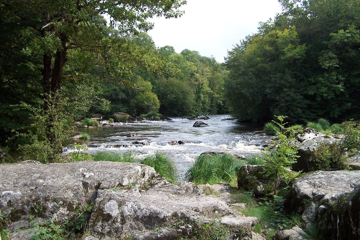 100_8396.JPG