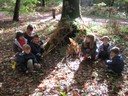 IMG_1176.jpg