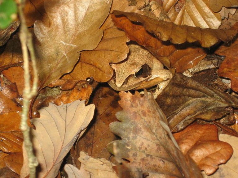 Photo 041.jpg